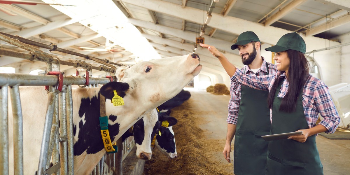 RFID-technologie inzetten voor precisielandbouwbeheer