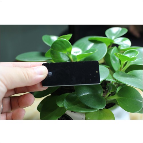 UHF metalen tag JT-6025